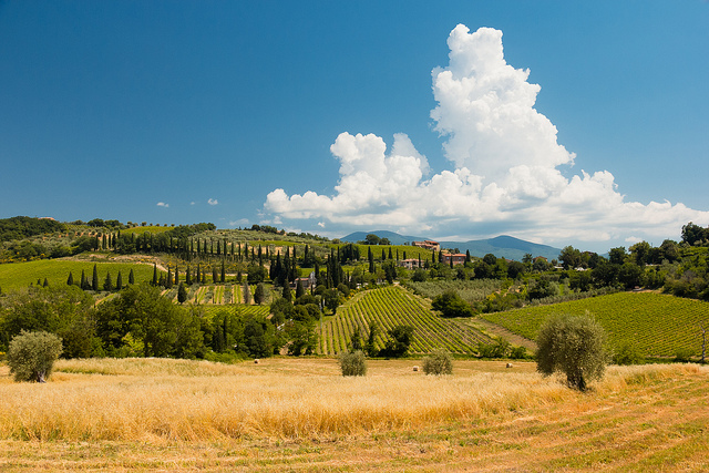 Oplev de smukke landskaber i Toscana med billeje